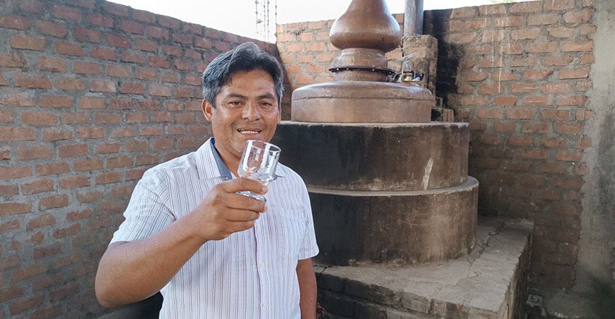 Vitivinicultores adelantan la producción del tradicional destilado “Morino” en Ancash Perú