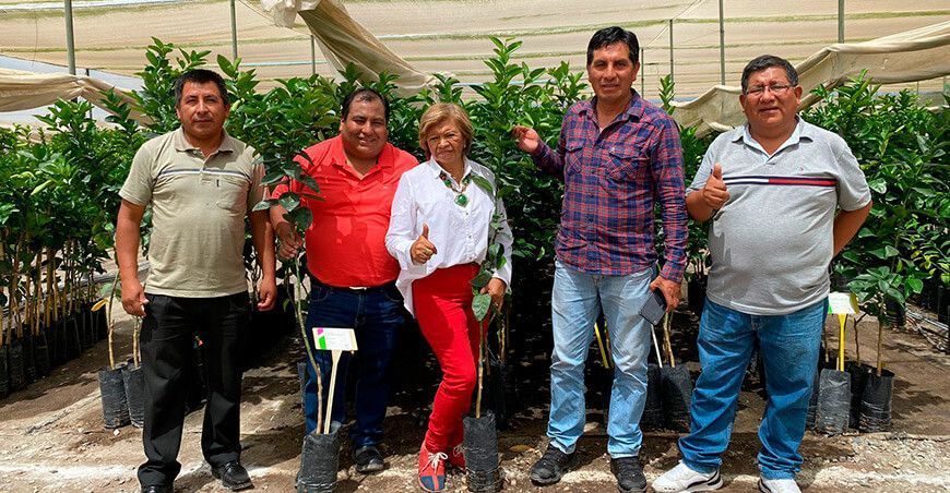 Vivero Los Viñedos dona 35 000 plantas de cítricos en Huancavelica