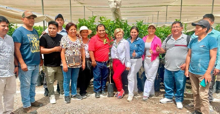 Vivero Los Viñedos dona 35 000 plantas de cítricos en Huancavelica