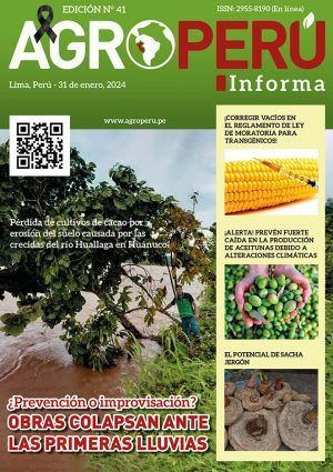 AGROPERU Informe Edición N° 41