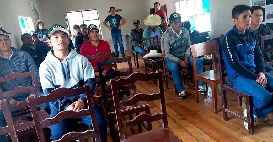 Productores se capacitan en técnicas de fertilización para el cultivo de papa en La Libertad Perú