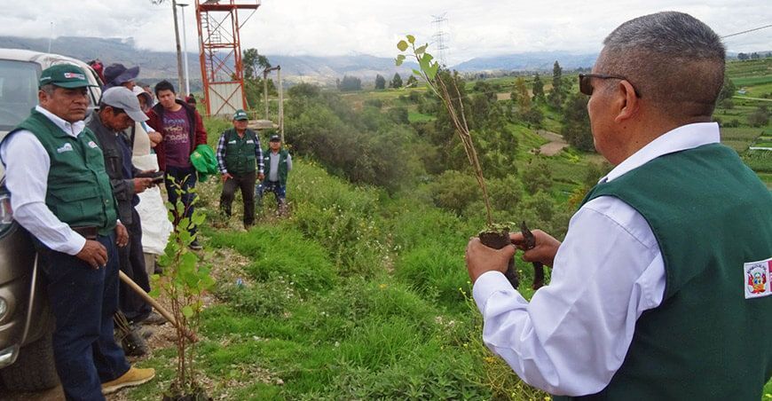 Agro Rural siembra 500 árboles forestales en mirador de Huama Huata en Junín Perú
