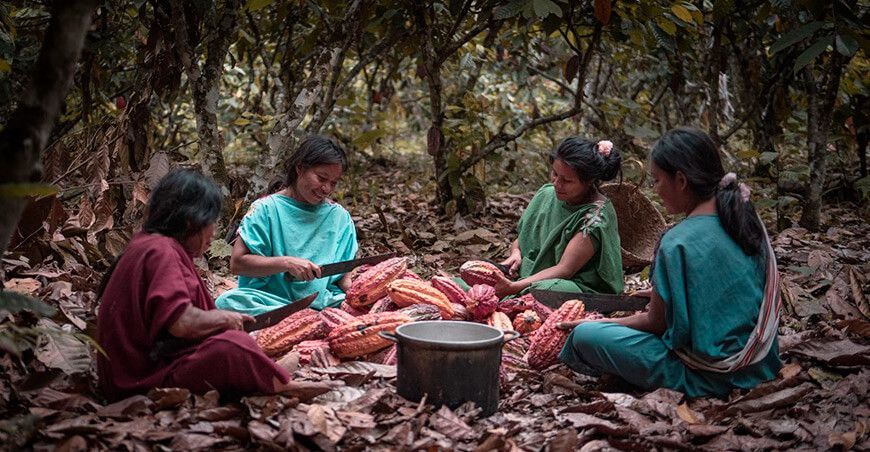 Kemito Ene, el emprendimiento asháninka que triunfa en el mercado mundial de cacao y café