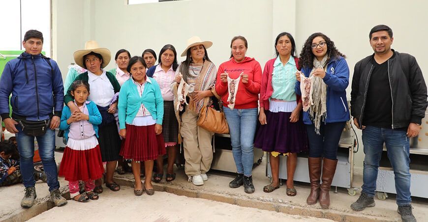 Fortalecen cadena productiva de cuy en Huayllapampa Bajo en Cajamarca Perú