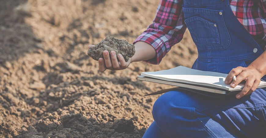 Luis Quirós, decano de Agronomía y Negocios de la Ucsur, destaca que la formación agraria debe incluir técnica, gestión y conservación ambiental