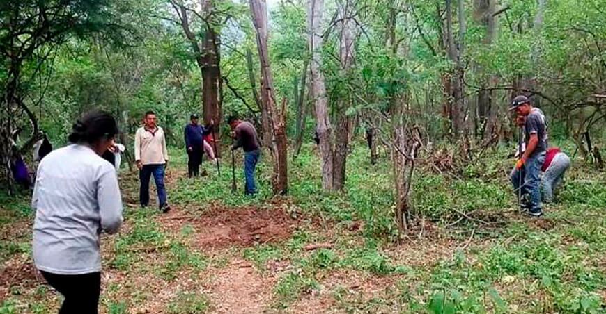 Proyecto de reforestación Pusmalca Piura Perú genera empleos