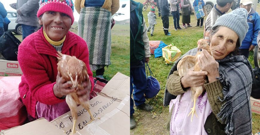 Entregan gallinas a productores de Puno