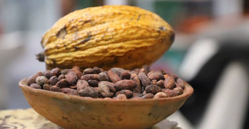 exportación de cacao Perú