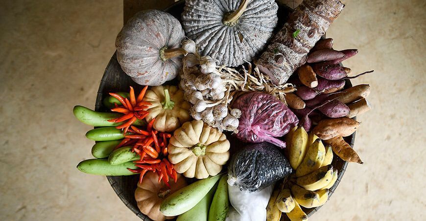 FAO estrena portal de estadísticas sobre alimentación y dietas
