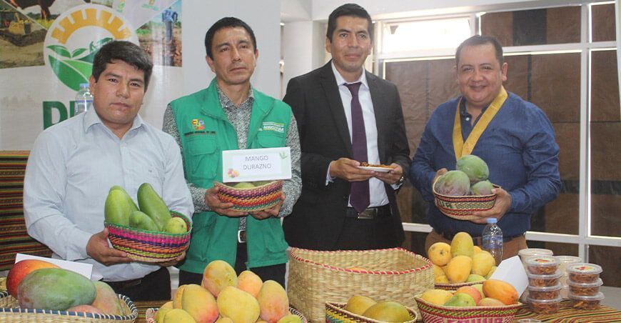 XII Festival del Mango de Cahua en Lima