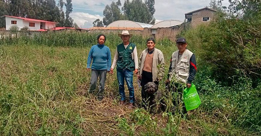 Granizada afectó 395 hectáreas de cultivos en Sapallanga en Junín Perú