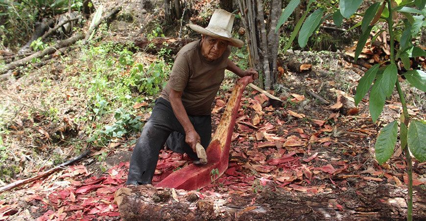 Historia de Gregorio Chávez Silva, artesano carpintero en San Marcos, Cajamarca
