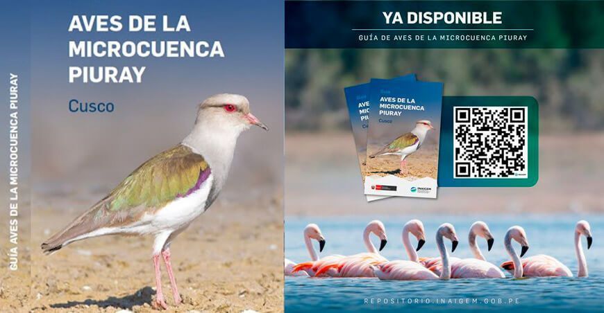 Inaigem comparte la Guía de Aves de la Microcuenca Piuray