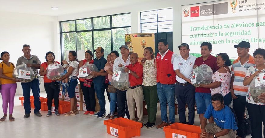 IIAP entregó 34 500 alevinos de paco a piscicultores de Ucayali