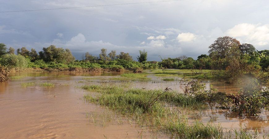 Midagri anuncia activación del seguro agrícola ante lluvias e inundaciones en Tumbes