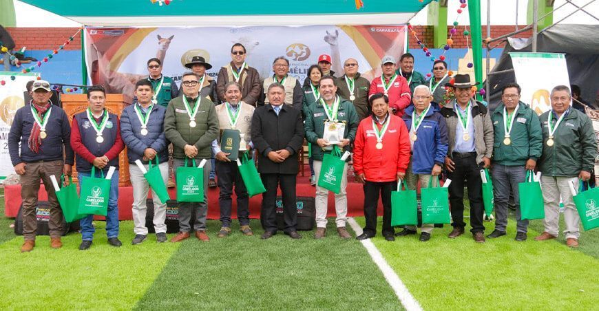 Oficializan actividades por el Año Internacional de los Camélidos en Puno Perú
