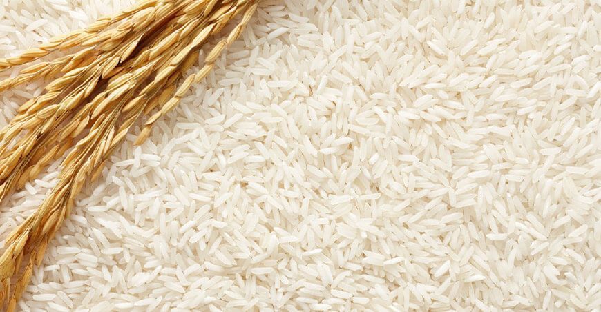 producción arroz Perú