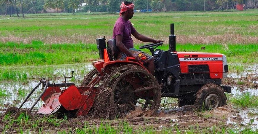producción de cultivo de arroz en la India 