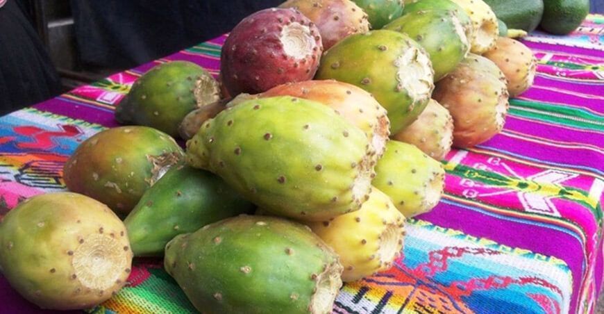 propiedades nutricionales de la tuna Perú
