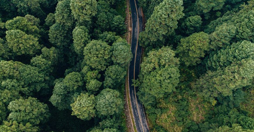 Revolución verde en la logística: ¿por qué reducir emisiones de CO2 no equivale a incrementar costos?