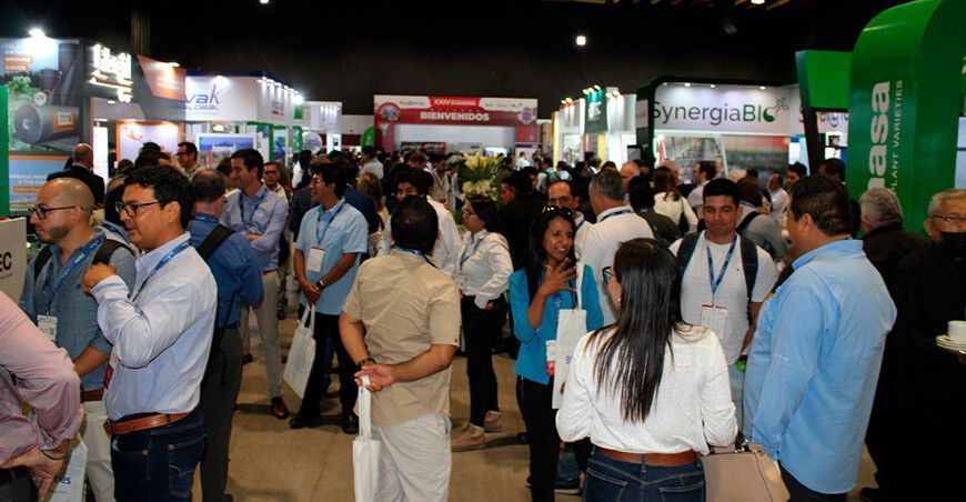 Delegaciones internacionales arribarán a Lima para el XXIX Seminario Internacional de Blueberries