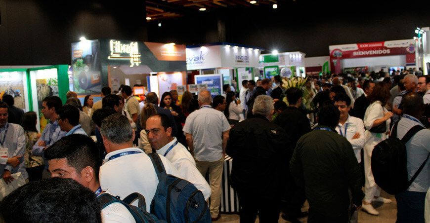 Delegaciones internacionales arribarán a Lima para el XXIX Seminario Internacional de Blueberries