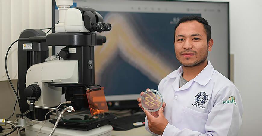 Investigadores descubren nueva especie de levadura en plantaciones de cacao nativo UNTRM Amazonas Perú