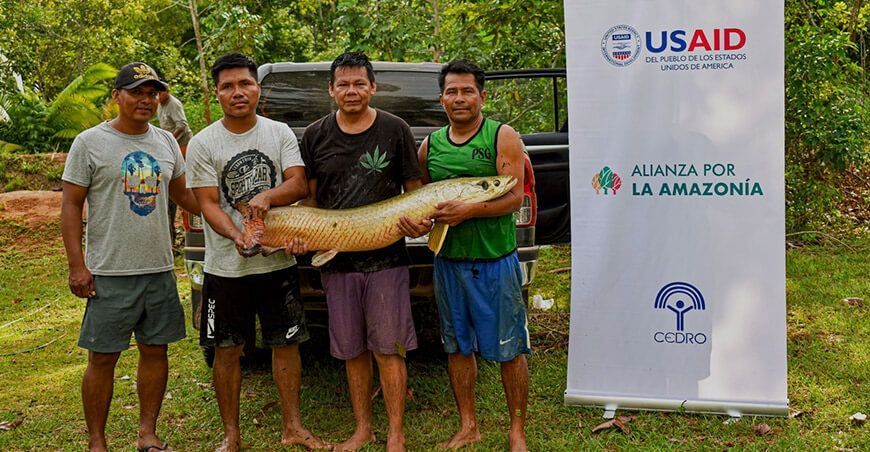 Piscicultores de comunidades indígenas participarán en la feria “A Comer Pescado” Paiche Ucayali Perú