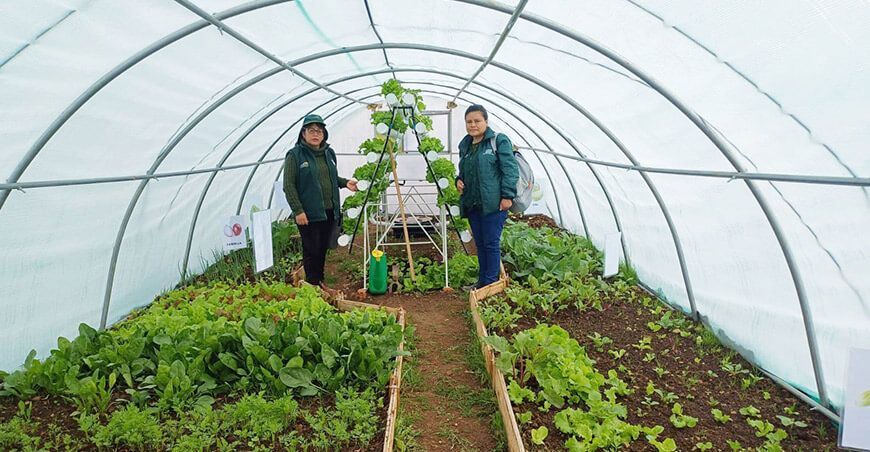 Agro Rural instalará 2560 fitotoldos para la producción de alimentos y combatir la desnutrición