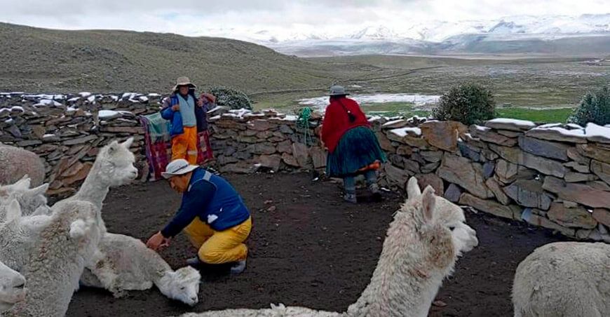 Ejecutivo insiste con Majes Siguas II, pero comunidades afectadas aún no son compensadas