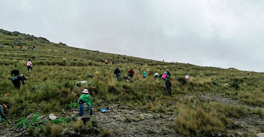Inician trabajos de reforestación en el distrito de Chilca Huancayo Junín