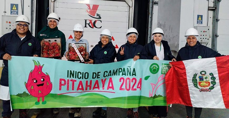 Camposol realizó su primer envío de pitahaya a Europa y Canadá