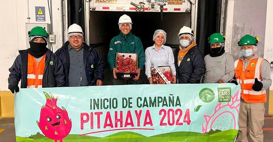 Camposol realizó su primer envío de pitahaya a Europa y Canadá