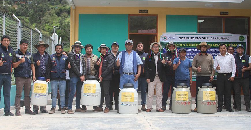 Entregan más de 3000 pajillas de semen bovino a cinco municipios de Apurímac Perú