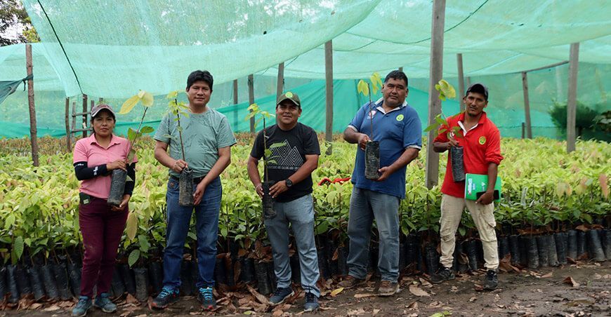 Inicia la entrega de 30 000 plantones de cacao en La Mar Ayacucho Perú