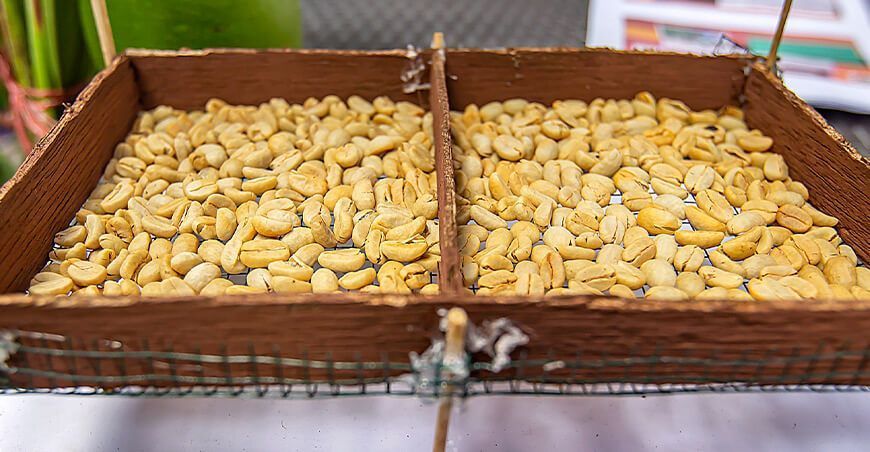 exportación de café Perú