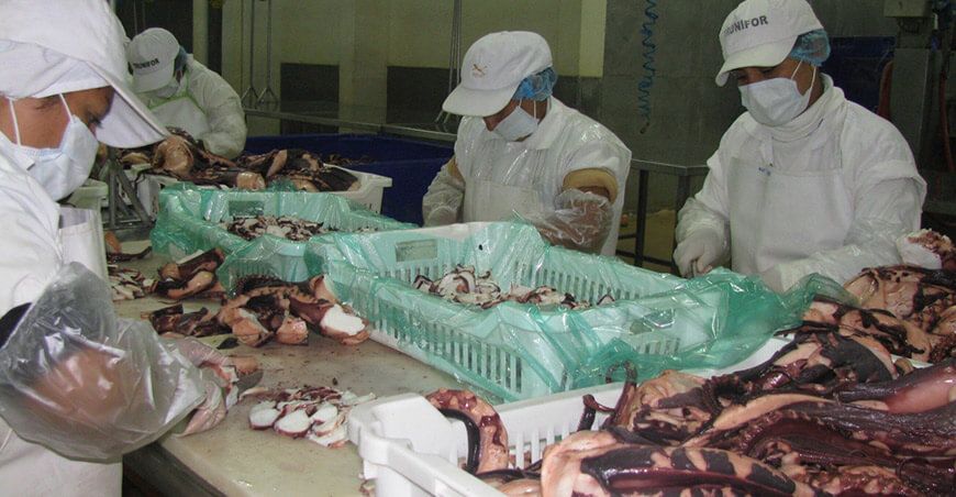 exportaciones pesqueras peruanas