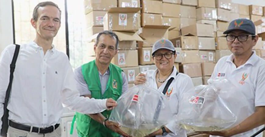 IIAP contribuye al desarrollo productivo con la entrega de 50 000 alevinos de gamitana en Loreto