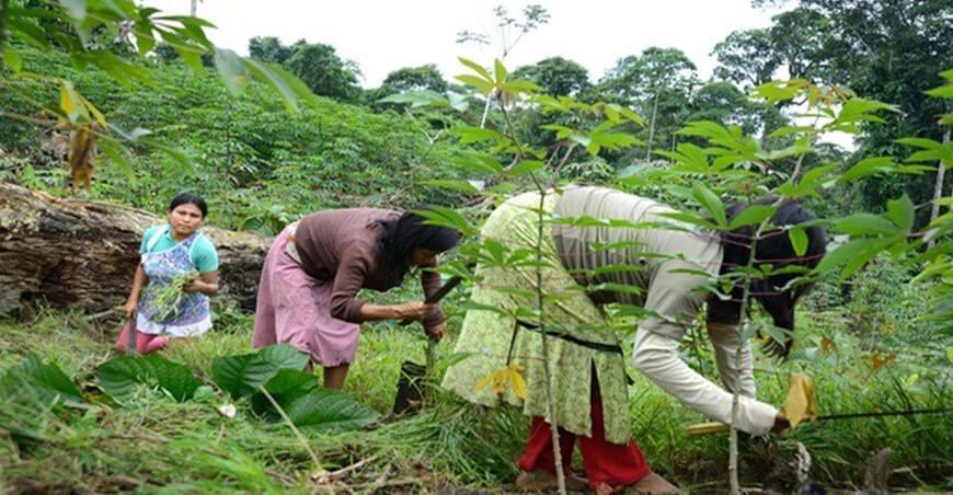 Minam otorgará incentivos económicos a comunidades de Datem del Marañón para conservación de bosques