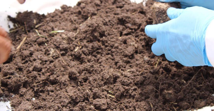 INIA lanza “Campaña Perú 2M” para conocer el nivel de fertilidad del suelo agrario