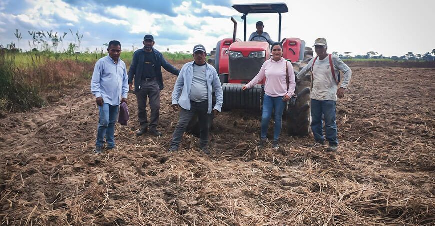Instalarán una parcela demostrativa del cultivo de yuca en Nuevo Belén en Ucayali
