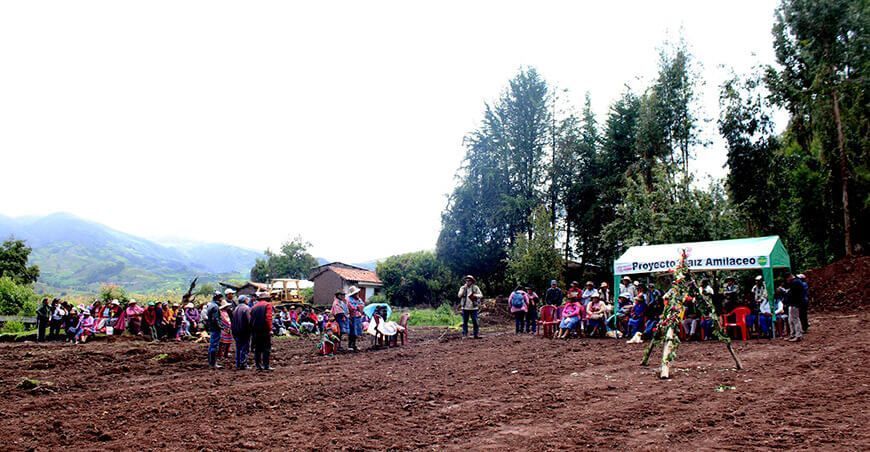 Inician instalación del vivero forestal en Paruro Cusco Perú