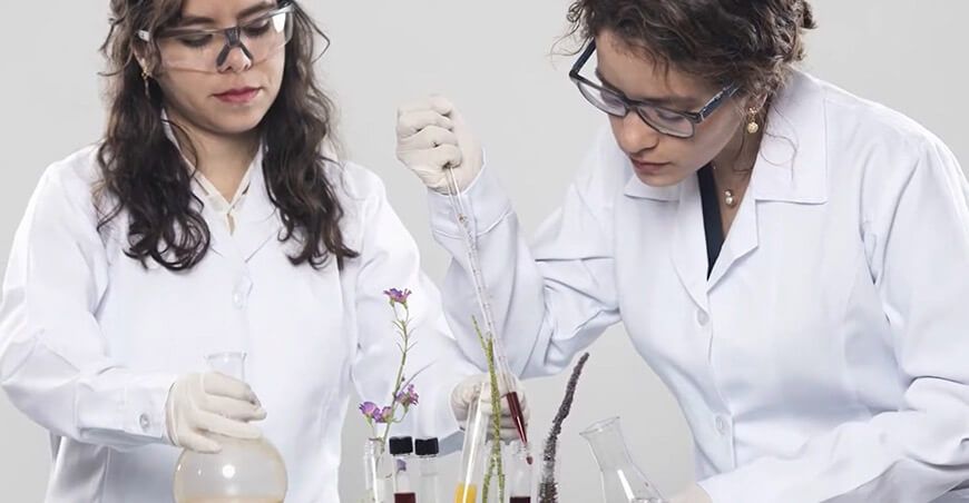 Peruanas crean productos sostenibles y plataformas tecnológicas innovadoras