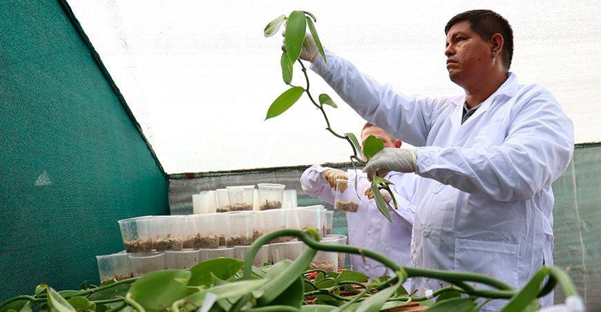 PERU-Hub, el innovador proyecto de la UNALM