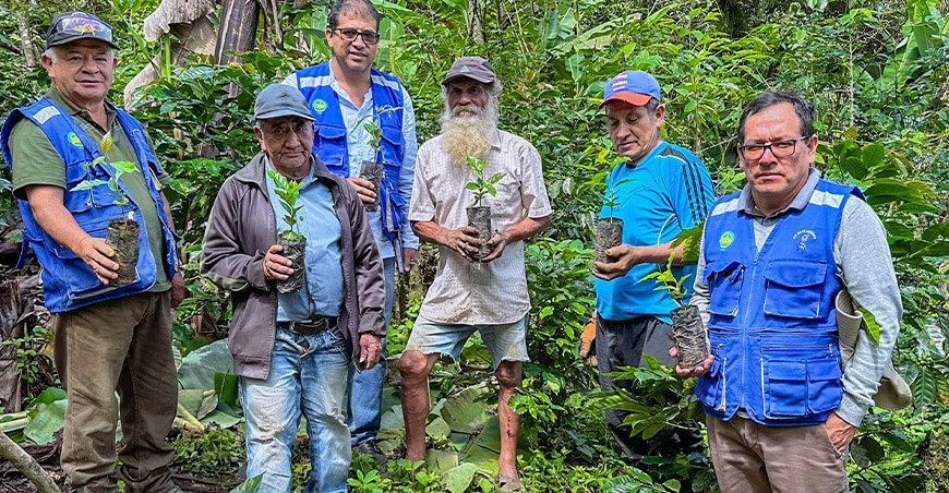 productores plantones de café Piura Perú