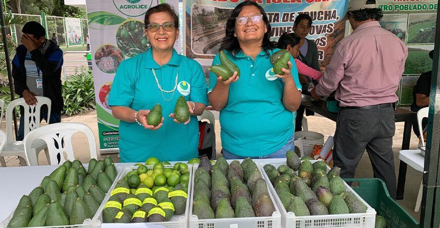 productores de palta Procompite Huánuco
