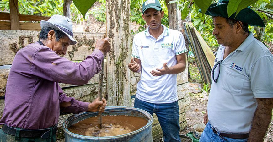Esteban Anaya López, productor de cacao produce 3 toneladas de compost con restos de cosechas y estiércol en Cusco Perú