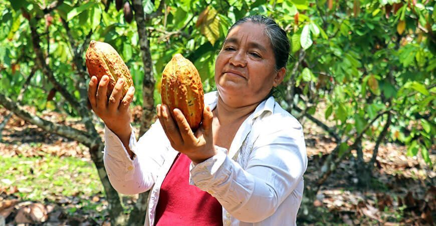 productoras de cacao Perú