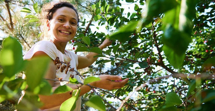 IICA lanza tercera edición del curso Introducción al Emprendedurismo para Mujeres Rurales productora de café