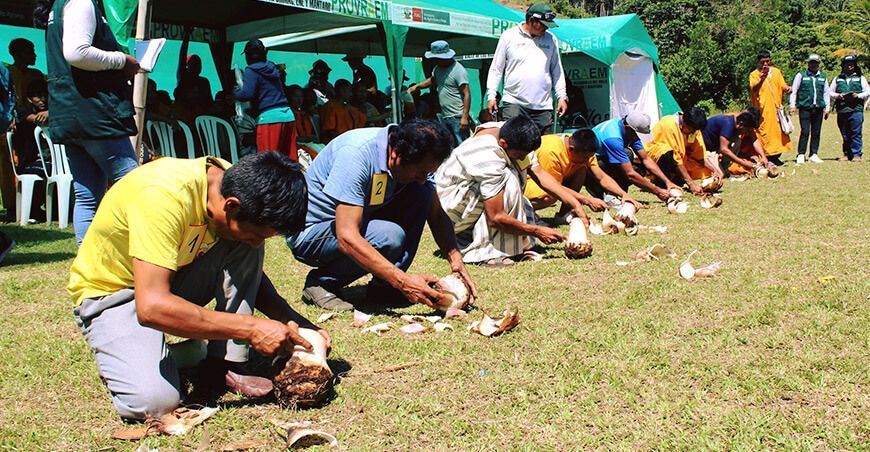 Entregan 320 000 hijuelos de plátano y banano a productores de Junín y Ayacucho